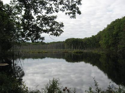 Lake Wallace Picture